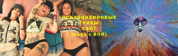 шишки Козельск