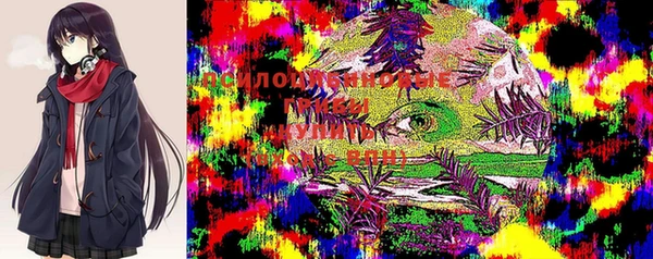 шишки Козельск